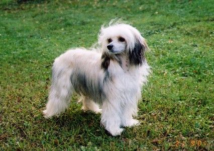 Secret Line's Lady Jane