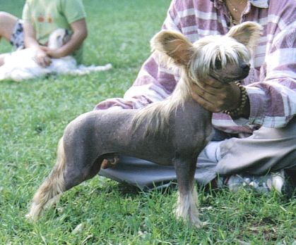 Secret Line's Some Likeit Hot