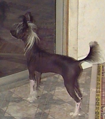 Silver Bluff Rhetorical Question