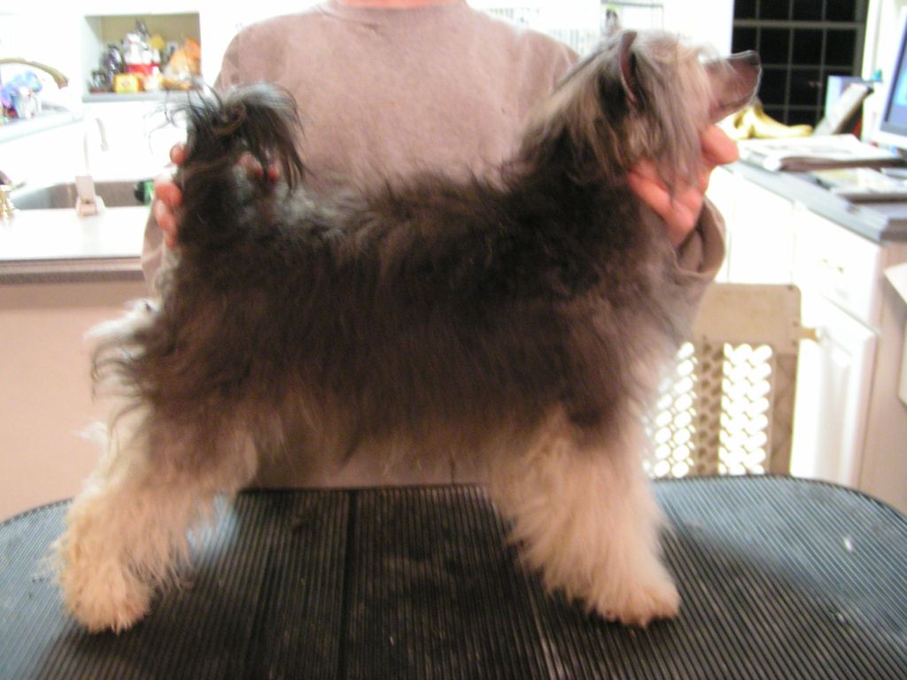 Six Gems A Lil Hocus Pocus