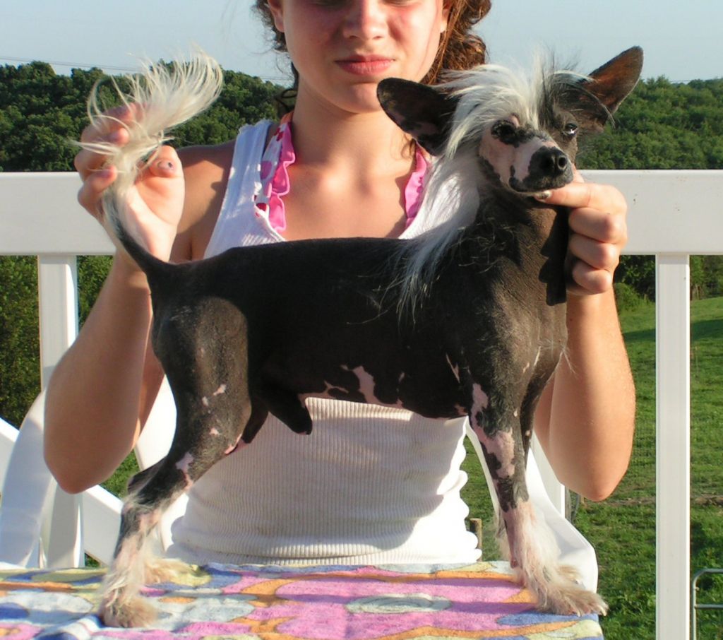 Six Gems Split Image