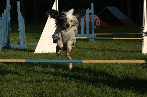 Soft Skin's Action Man