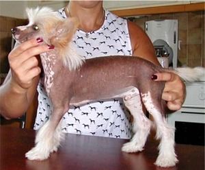 Spirit Of Mantra's Sme'agol