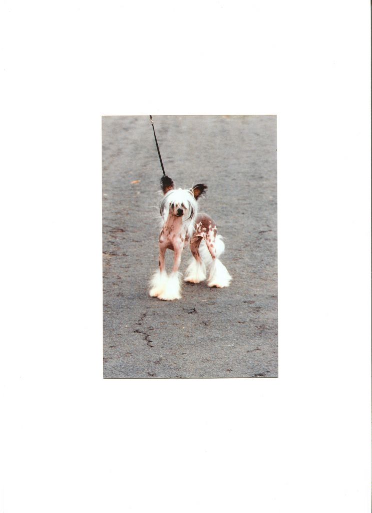 S'Tong-Tché de l'Ancien Relais