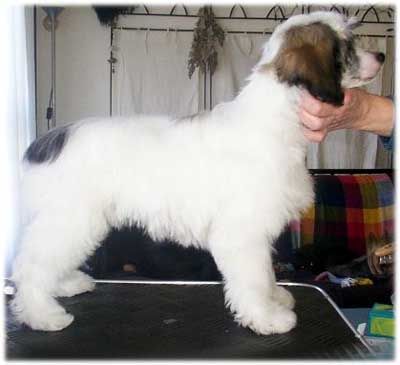 StripPoker's Hit Em'Up Style