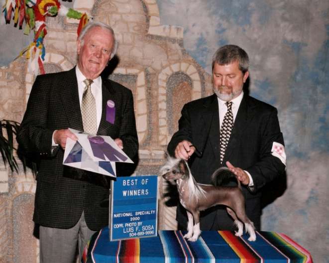 Sun-A-Ra's Bayshore W Attitude