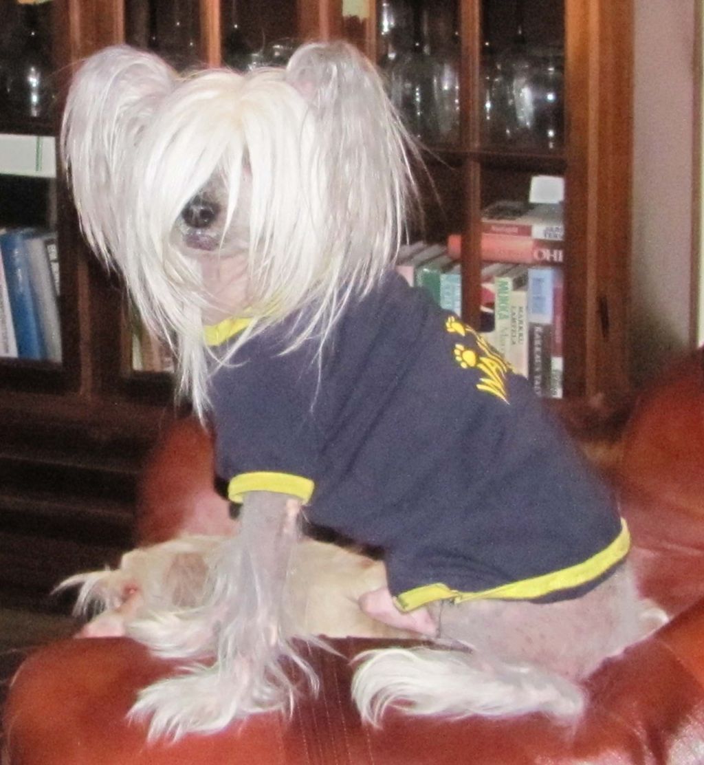 Sun Dan Demon Of Love