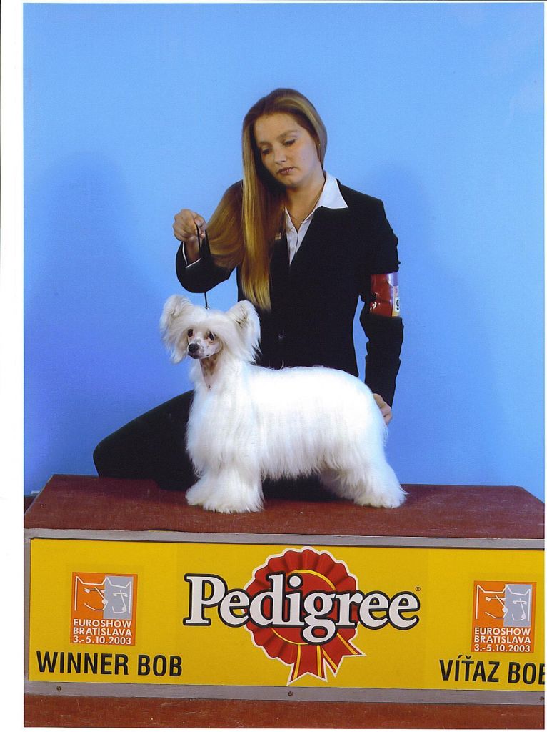 Sun Dan I'm So Funny