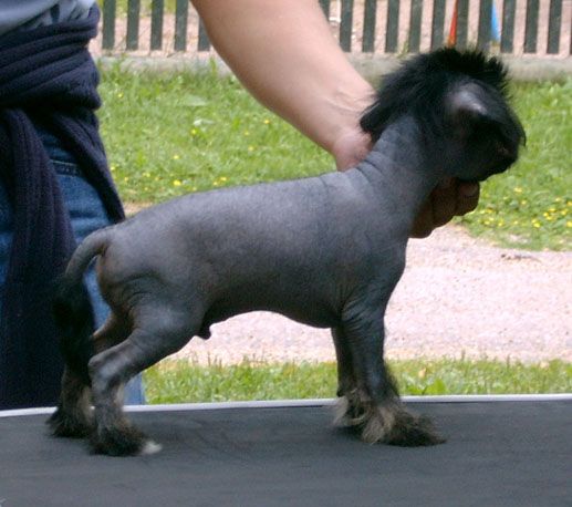 Sun Dan Mirror Of Soul