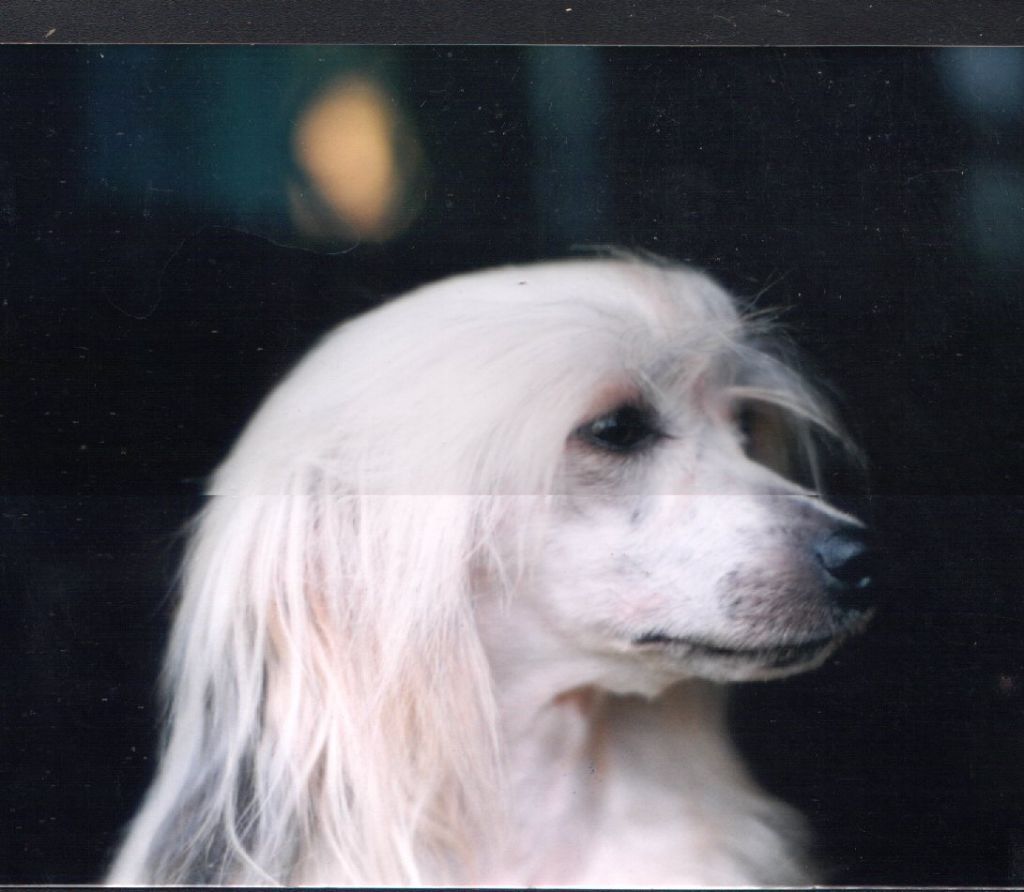 Suzies Sweet Success For Bradwen