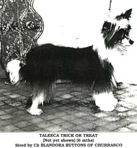 Taleeca Trick Or Treat