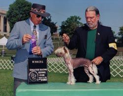 Tapscott's Azzur Rive Gauche