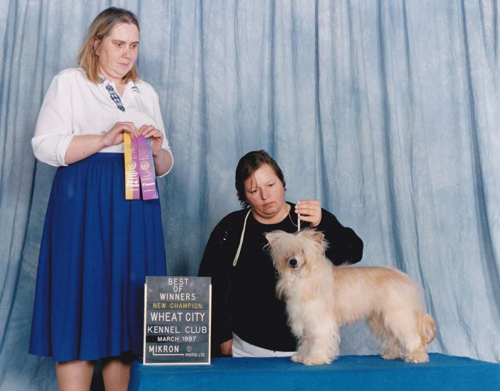 Tebroc's Sun Over Winsten