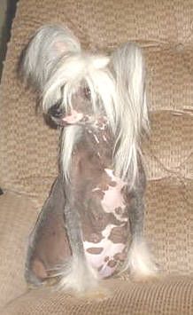 Tournais On The Road To Tapscott