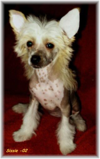 Tournais So Far So Good