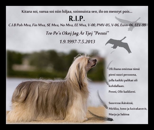 Tre Pe's Okej Jag Är Tjej