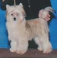 Tri-Cas X-Cuse Me Makara