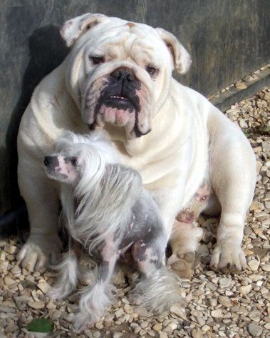 Umi de la Fontaine aux Maléfices