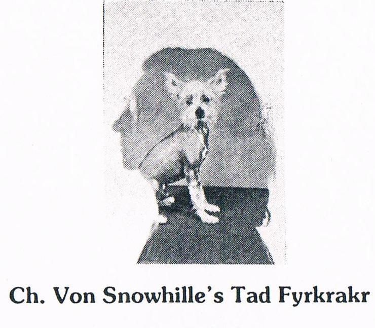 Von Snowhille's Tad Fyrkrakr