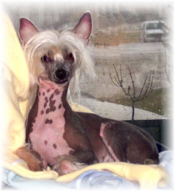 Whispering Lanes Snickering At You