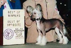 Willow's Porsche At Camelot