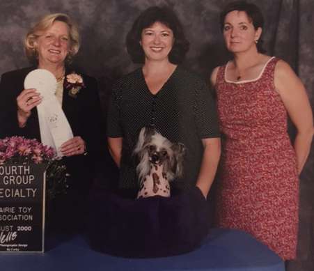 Wind The Velveteen Rabbit