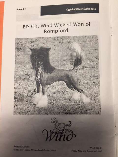 Wind Wicked Won Of Rompford