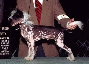 Woodlyn Reicrist Shoo Fly Pie