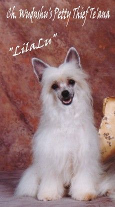 Wudnshu's Petty Thief Te'ana