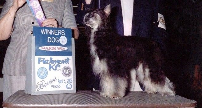 Wudnshu's Thief Of Jewels