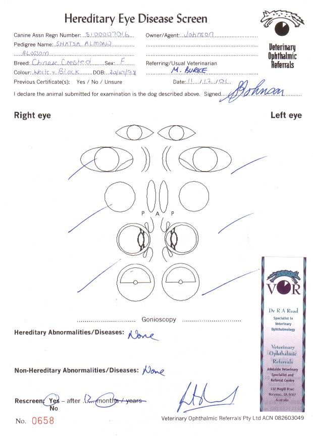 Shatsa Almond Blossom