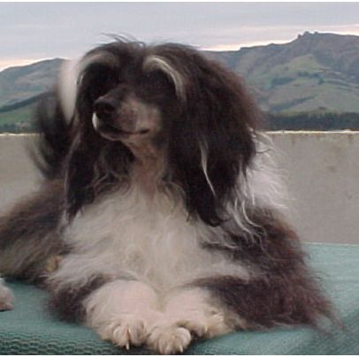 Xioma Prince O Darkness