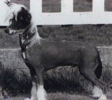 Yorcrechi Goes Bananas JW