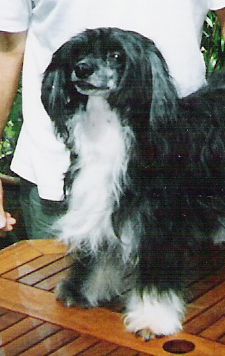 Jordi from House Off Angie