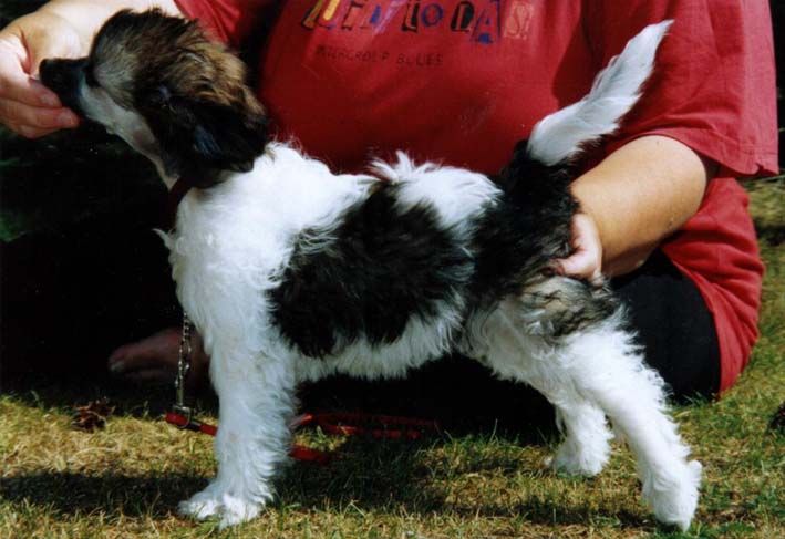 Zhannel's Flying High