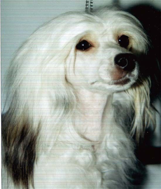 Zhannel's Naughty But Nice