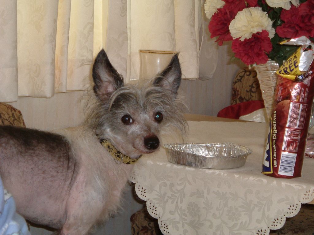 Zucci Joins The Munchbunch