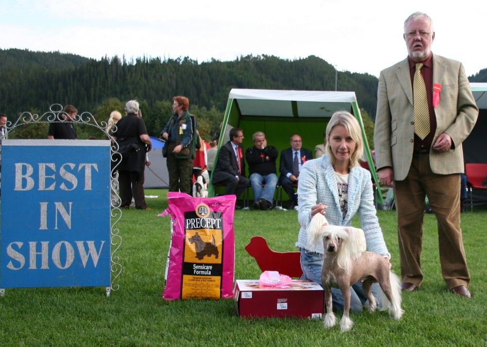 Eugenios Inspiration