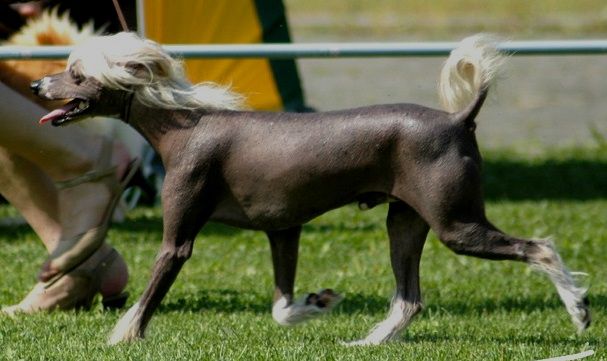 Eugenios Stormy Weather