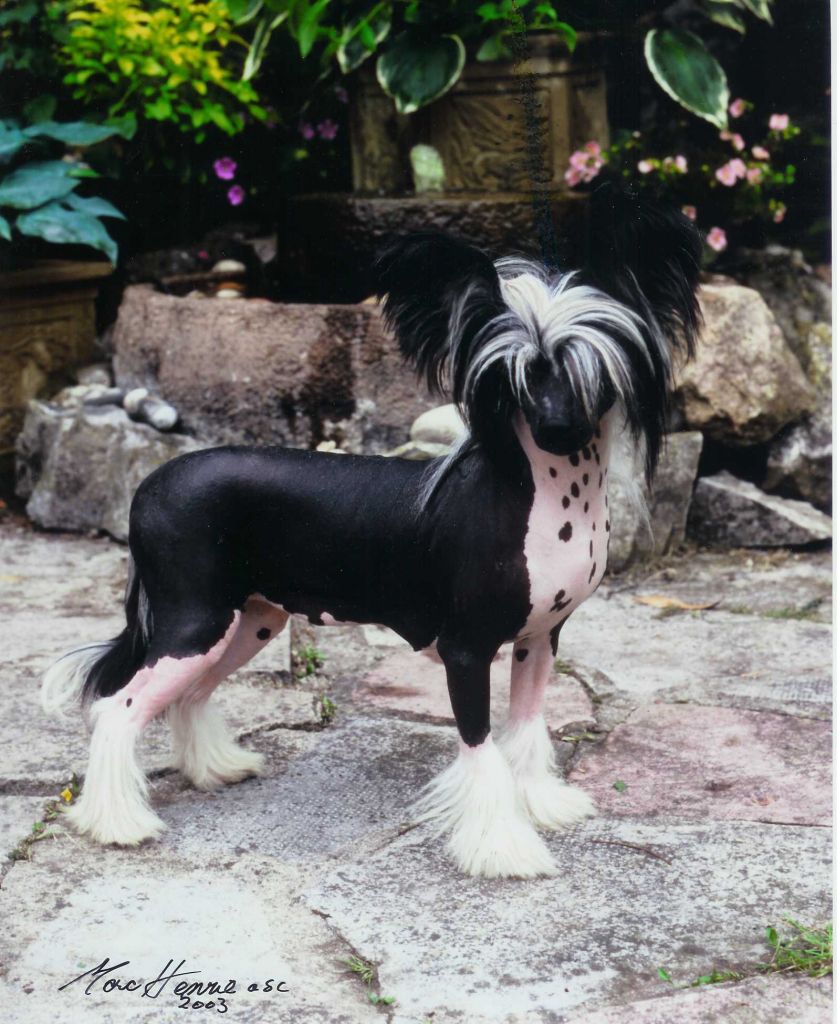 Vanitonia Only Annie Lusion