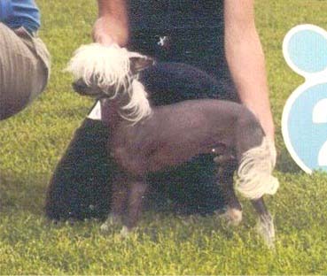 Eugenios Expectation