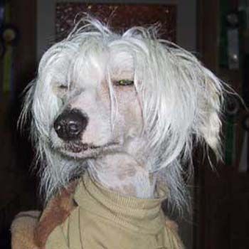 Eugenios Sandy Desert