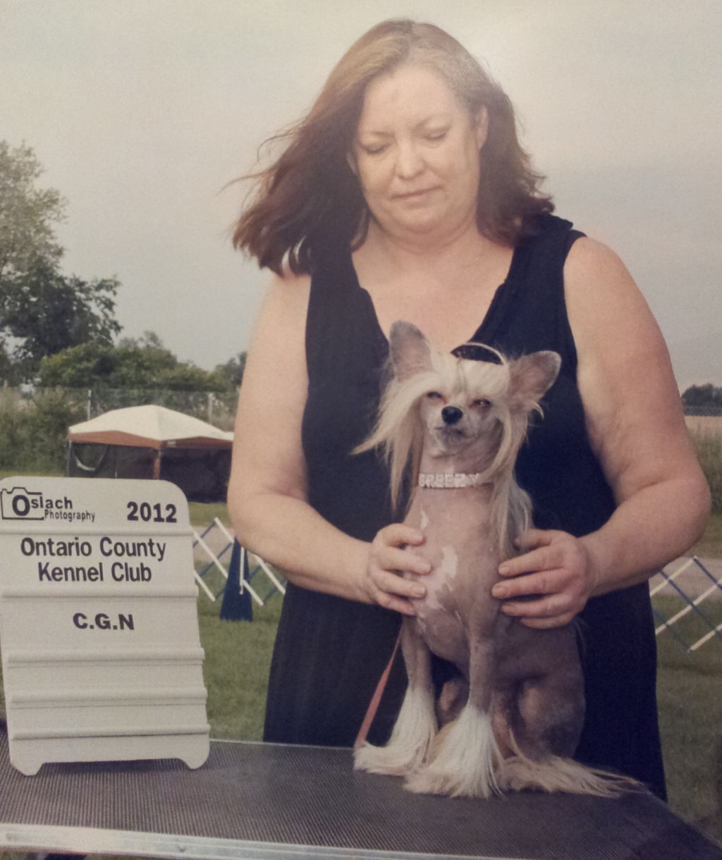 Altair's Blackpool Rock