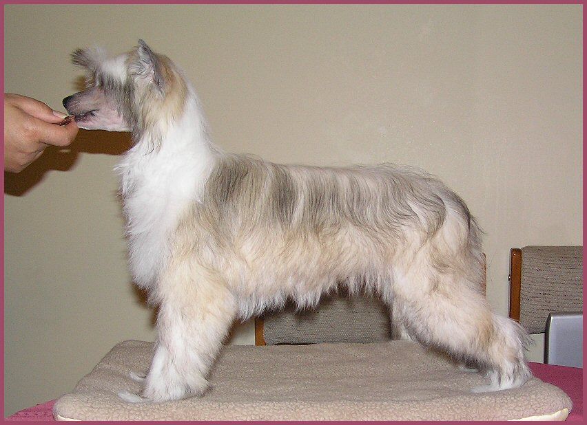 Altair's I Love A Mystery