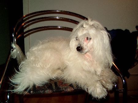 Ann Snowwhite Mina Iveris