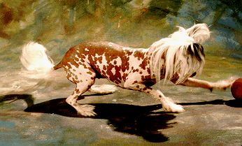 Barunka Granatove Oko