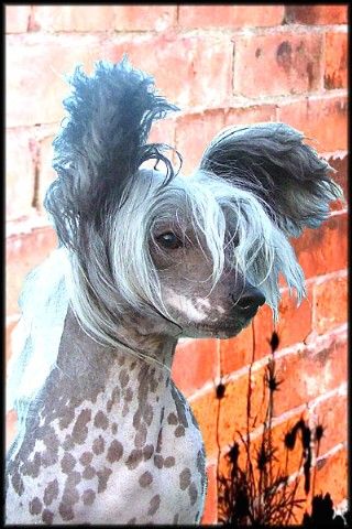 Blandora Bet You Want Me