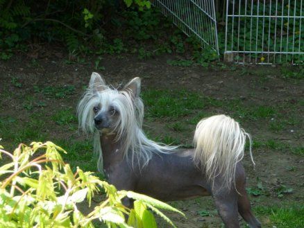 Cover Girl Top Model De Rama