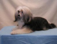 Cronhammar's Dressed In Dior