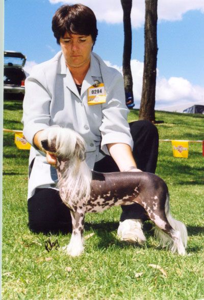 Dosangeles Angel Baby